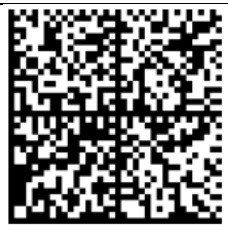 5.16. Сканирование кода маркировки, который возвращает 203-ошибку и переводит ТС ПИоТ в аварийный режим.