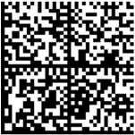 5.6. Распознавание DataMatrix без EAN-кода(Запрет дублей)